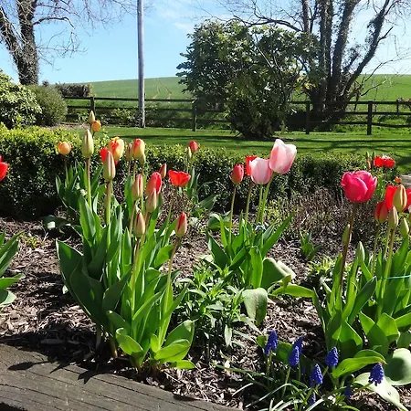 Rockfield Bed & Breakfast